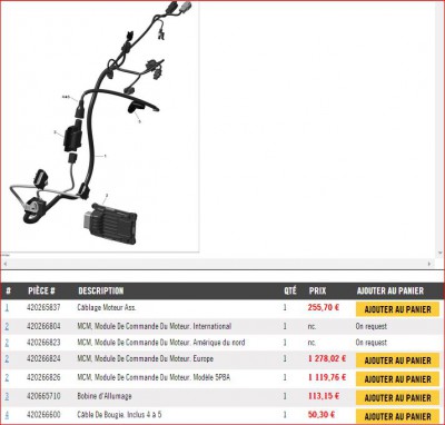 can-am prix pièces détachées.JPG