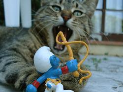 Copie de schtroumpf-chat.jpg