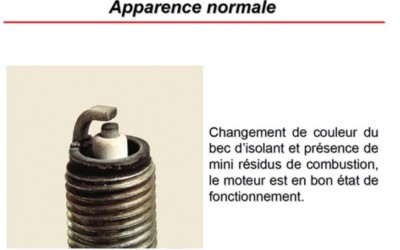 Apparence normale.JPG