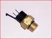 HY22919 Sonde Thermostique.JPG