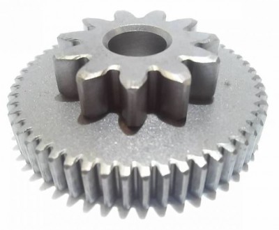 HY23701  PIGNON D'ENTRAINEMENT.JPG