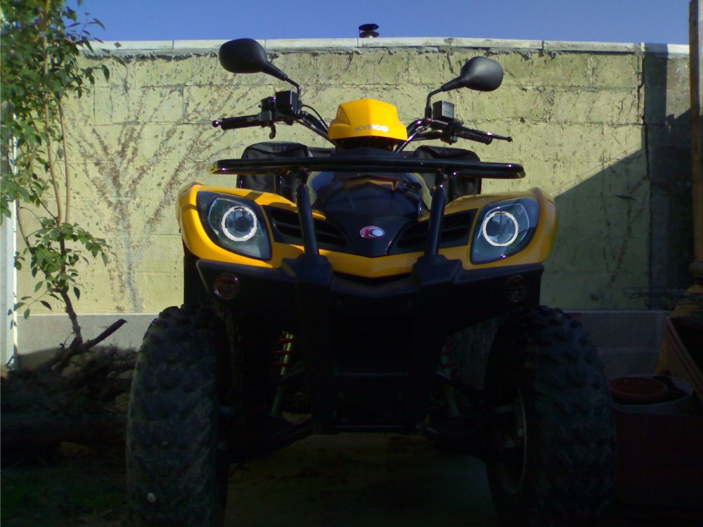 2270920081190+ angel #25BB8E.jpg