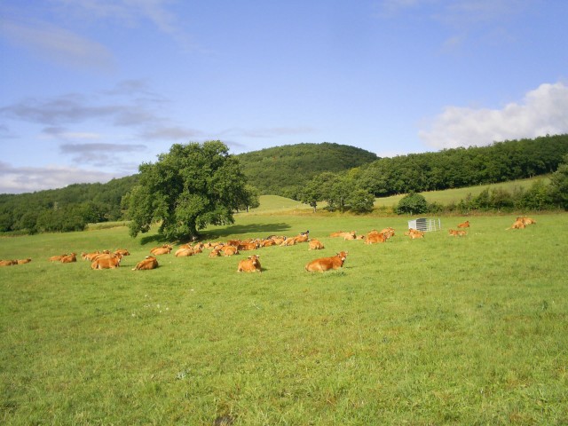 S5020760 [640x480].JPG