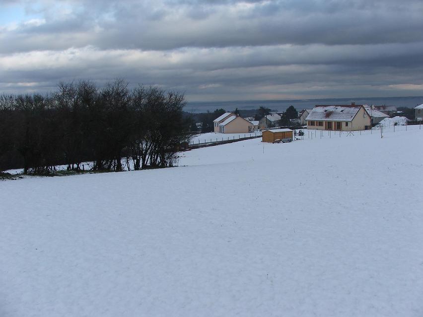 pas besion de tondre.JPG