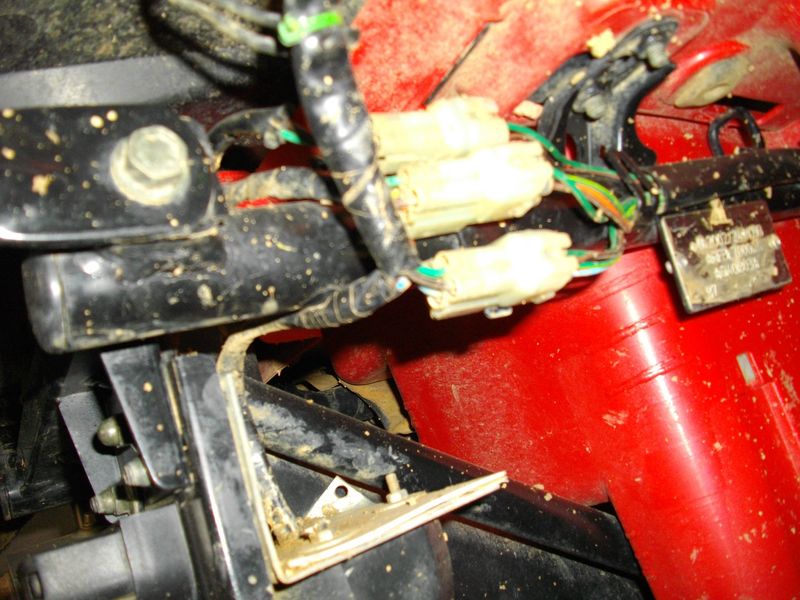 IMGP0110 [800x600].JPG