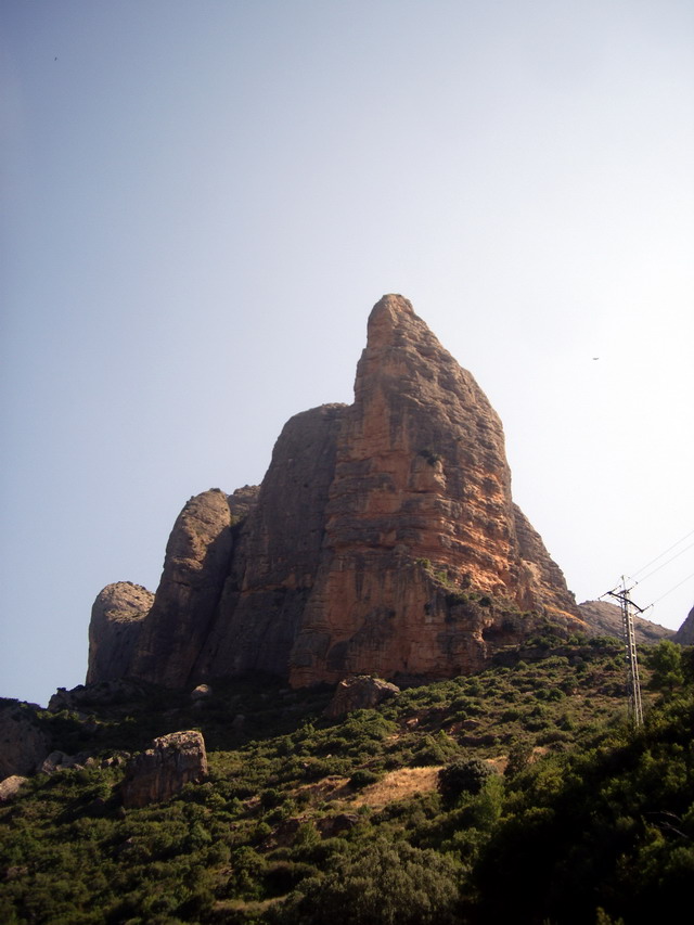 IMGP5884 x.jpg IMGP5884 x.jpg