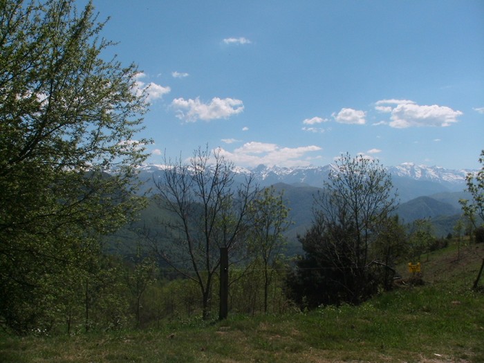 Copie de 15-05-10 060.jpg