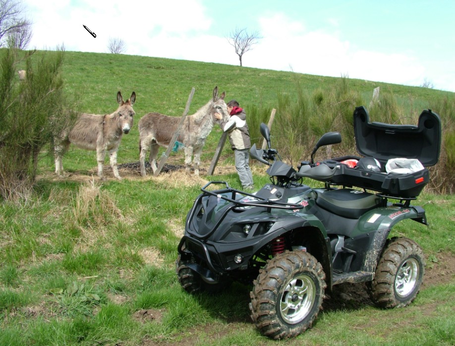 Image_02 2010-09-19 14.33.jpg