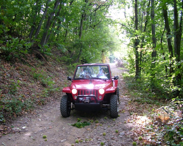 Glamis 850 en forêt.jpg