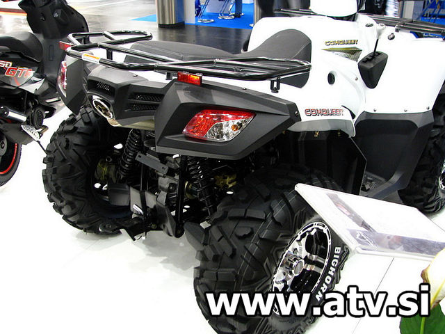 adly normal_wbc-intermot-2010-005 (2).jpg