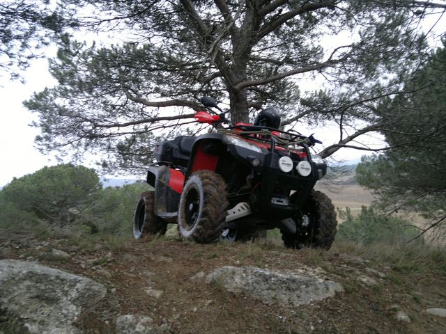 30012011231 [640x480].jpg