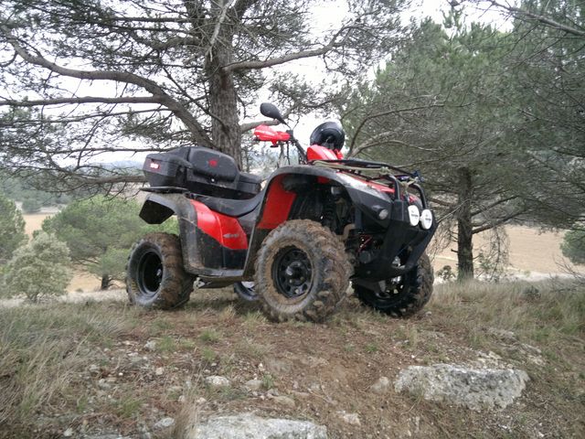 30012011230 [640x480].jpg