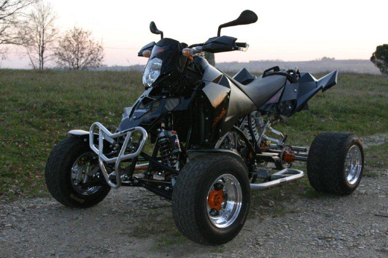 E-ATV 950 SM.jpg