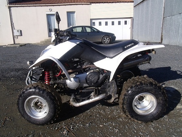 jdq (2).JPG jdq (2).JPG