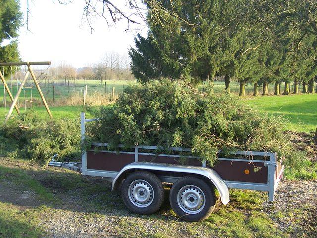 100_2155 [640x480].jpg