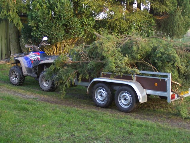 100_2165 [640x480].jpg