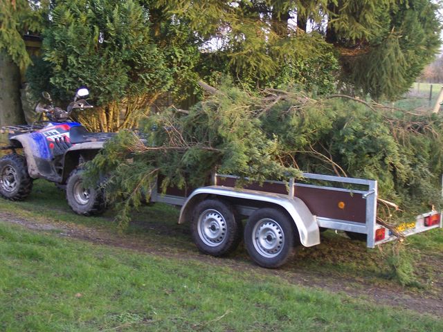 100_2166 [640x480].jpg