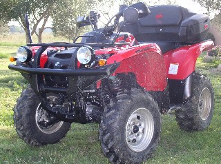 grizzly.jpg grizzly.jpg