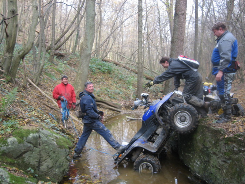 linhai saute a l'eau.jpg