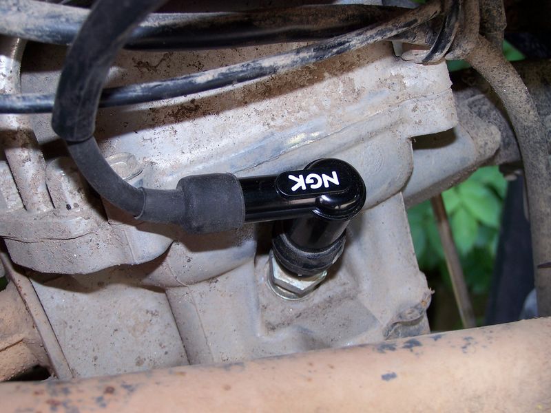 antiparasite monté 2.jpg