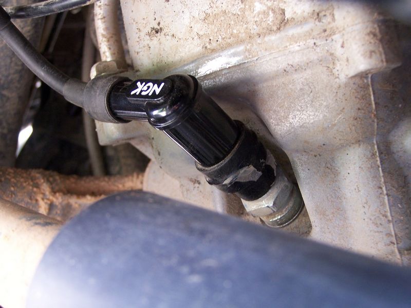 antiparasite monté.jpg