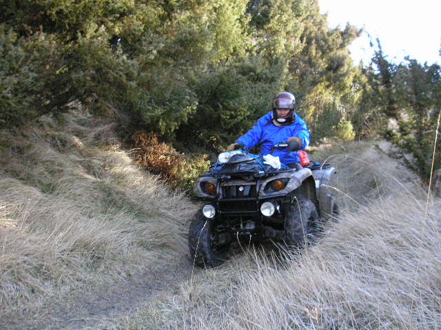Photo Freddy012.JPG
