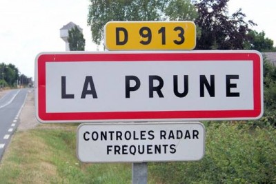 insolite-prune.jpg