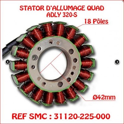 Stator CHINOIS diam 42.JPG