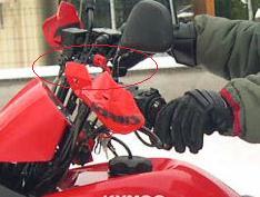 Proteges_ mains1.jpg