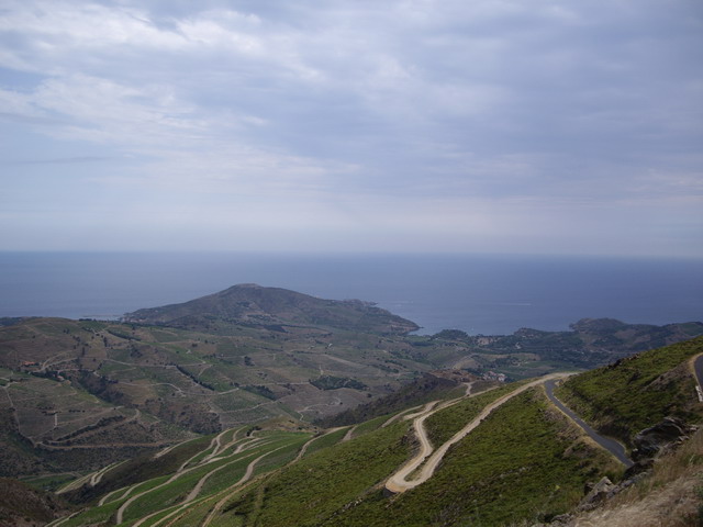 Montée à la Tour Madeloc / IMGP5309x.jpg IMGP5309x.jpg