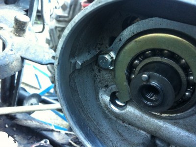 IMG_0310 (Copier).JPG