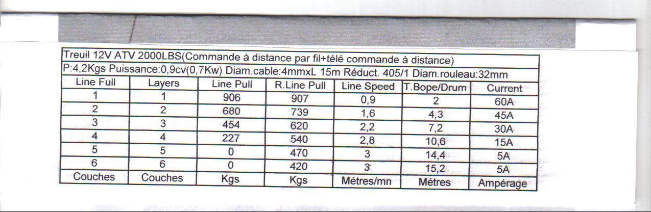 bulbe de tulipier.jpg